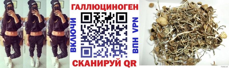 Псилоцибиновые грибы мицелий  omg сайт  Каменногорск 